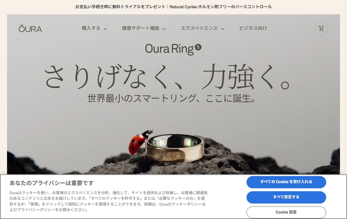 実際の画面キャプチャ