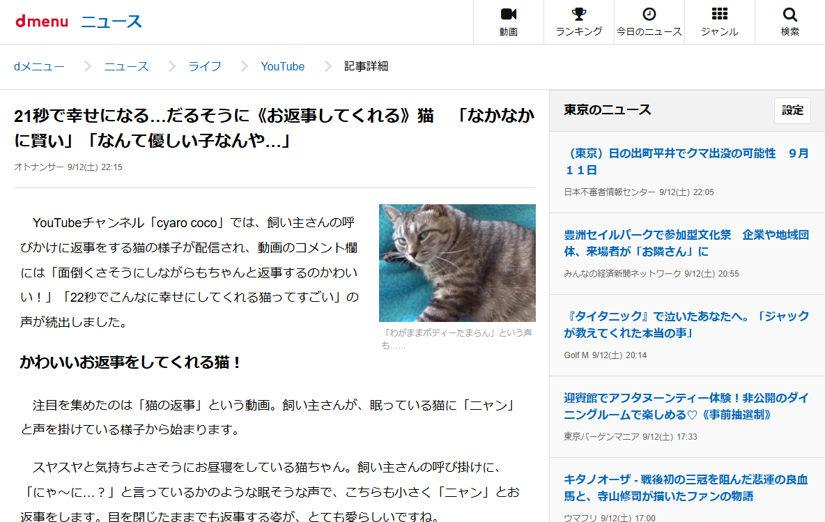 実際の画面キャプチャ